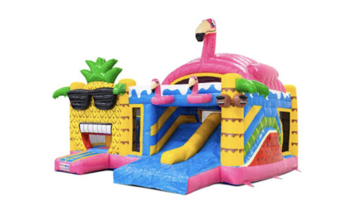 Chateau gonflable - Flamingo (Double toboggan)