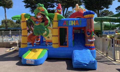 Château gonflable - Hawaii