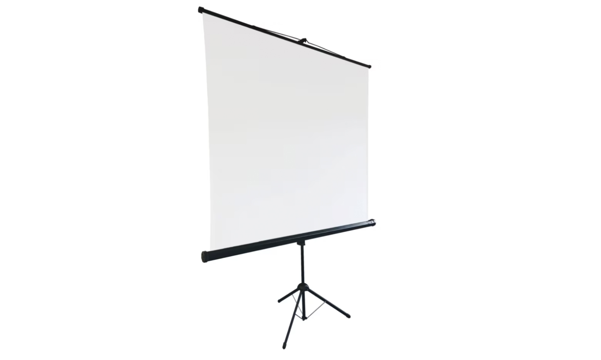 Écran de videoprojection sur pied - 180cm x 180cm