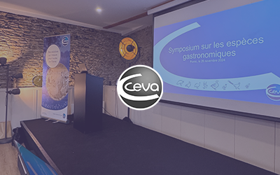 Ceva